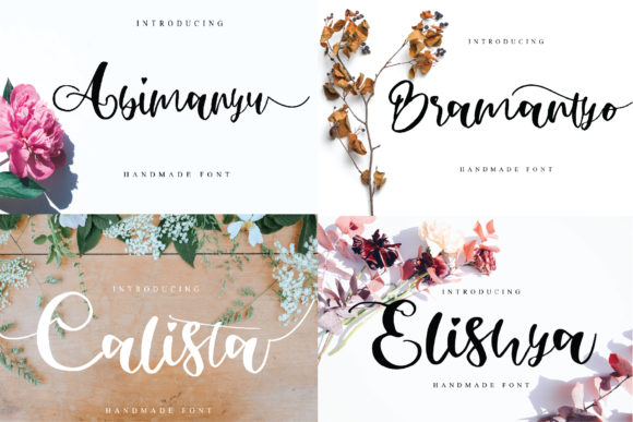 Abimanyu: A Premium Handwritten Font for Modern Web Design