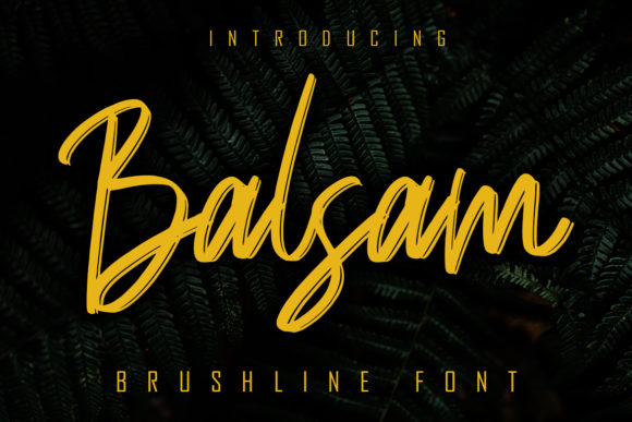 Balsam: A Handwritten Font for Polished Branding