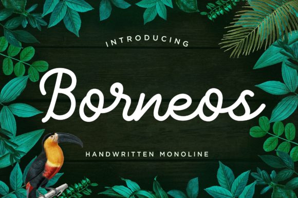 Borneos: A Handwritten Script Font for Editorial Design