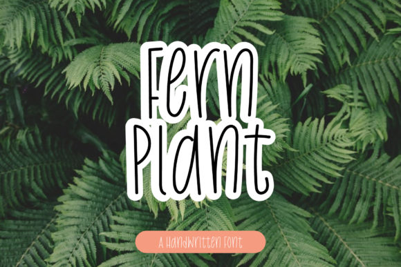 Fern Plant: A Real-World Design Review