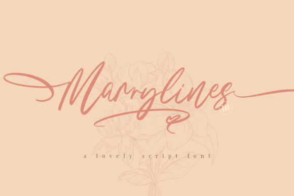 Marrylines: A Premium Script Font for Web Design