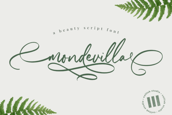 Mondevilla: A Flowing Script Font for Editorial Design