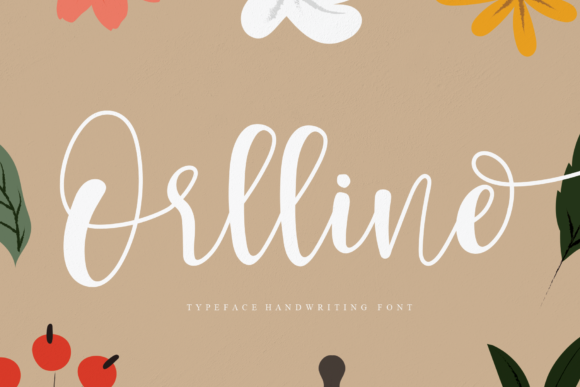 Orlline: A Handwritten Font for Modern Web Design