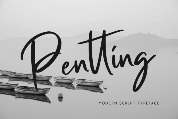Pentting: A Real-World Designer Review