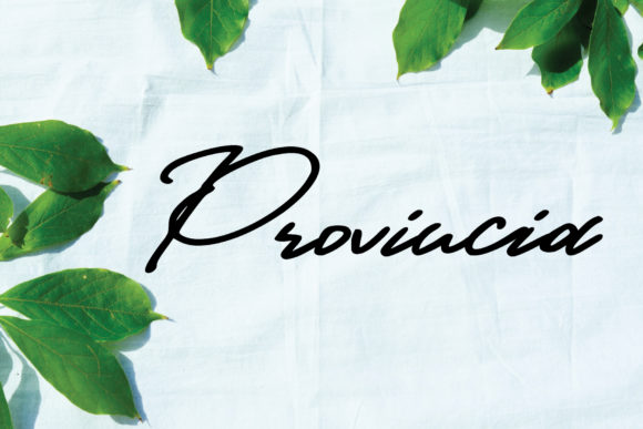 Provincia Font: Elevate Your Brand Identity