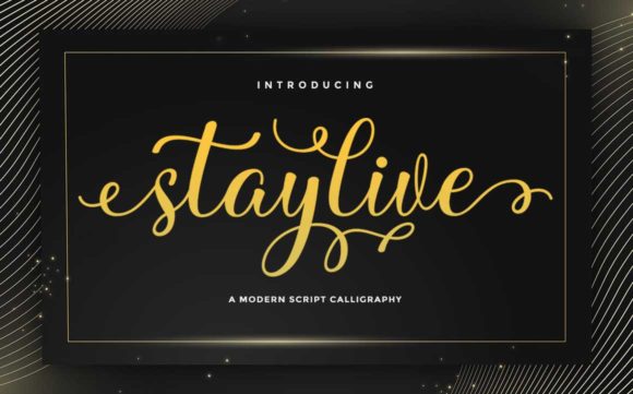 Stay Live: A Premium Script Font for Modern Web Design